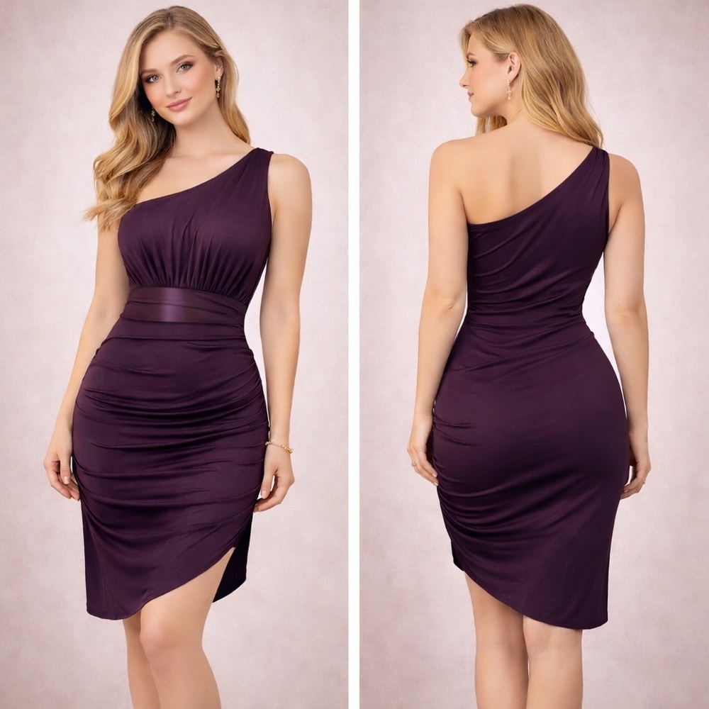 Sky One-Shoulder Asymmetrical Dress in Plum
